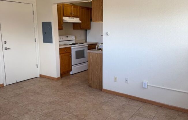 1 bed, 1 bath, 500 sqft, $1,000, Unit 3715-206