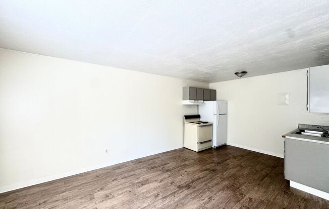 1 bed, 1 bath, 500 sqft, $799, Unit Unit 303