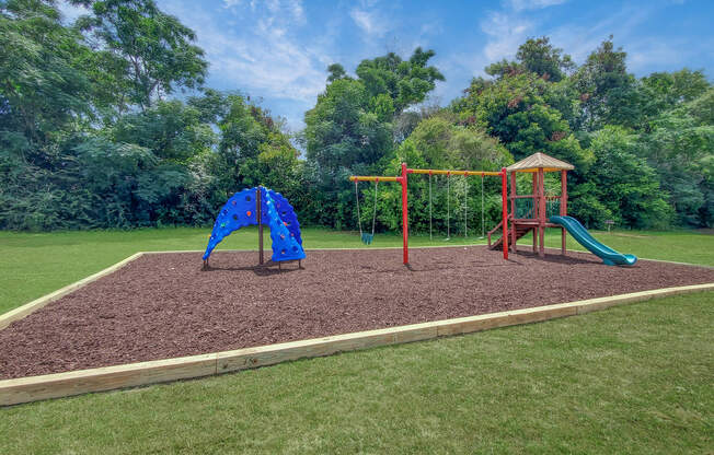 a group of people in a park