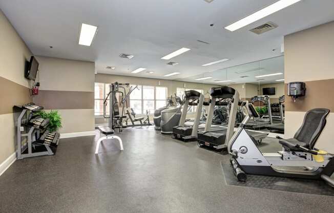 Fitness center with cardio, free weights, workout machines