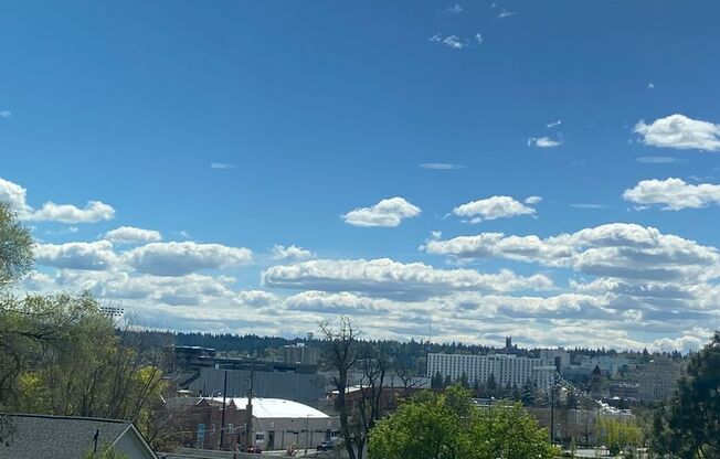 1 bed, 1 bath, 700 sqft, $1,295, Unit Unit 303