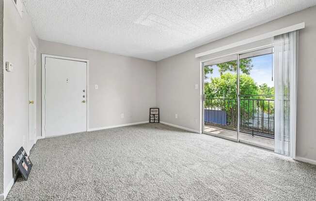 A room with a grey carpet and a sliding glass door.