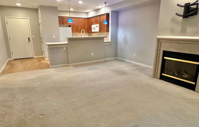 Beautiful 1 bed condo in the heart of Bellevue! Available Now!