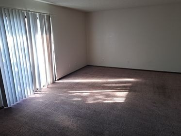 Living Room-Patio Door