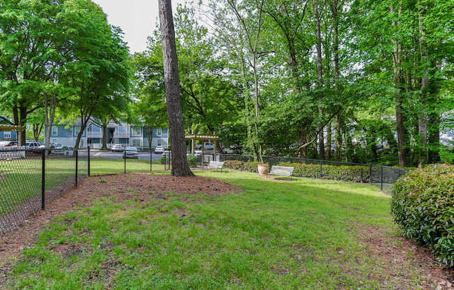 A tree in a grassy area with a fence in the background.