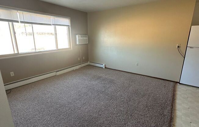 2 beds, 1 bath, 700 sqft, $700, Unit 10