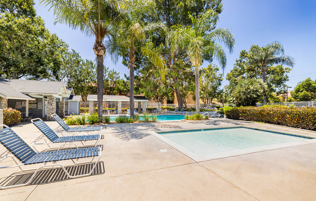 pool deck with lounge chairs and palm trees