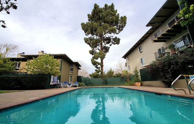 1 bed, 1 bath, $2,700