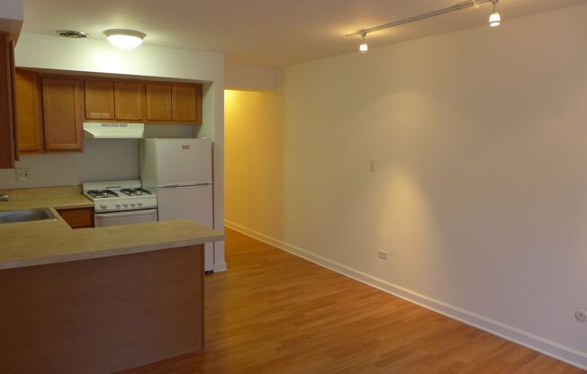 Studio, 1 bath, 400 sqft, $1,175, Unit 101