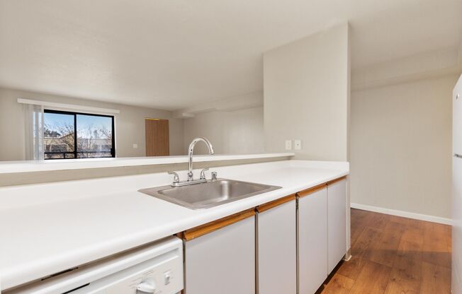 Studio, 1 bath, 504 sqft, $1,591, Unit 303