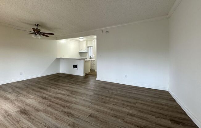 Studio, 1 bath, 450 sqft, $1,575, Unit 229