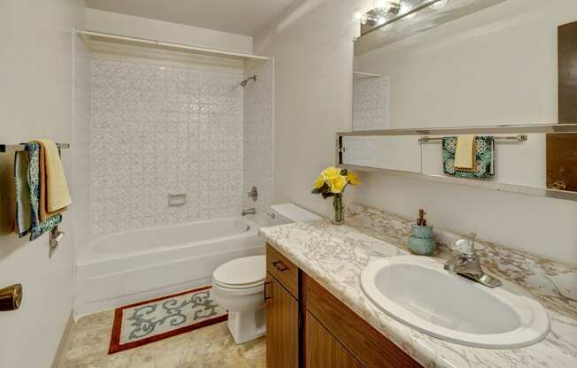 Arctic Sun Bathroom