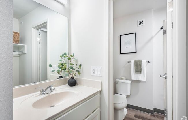 Studio, 1 bath, 277 sqft, $999, Unit 343