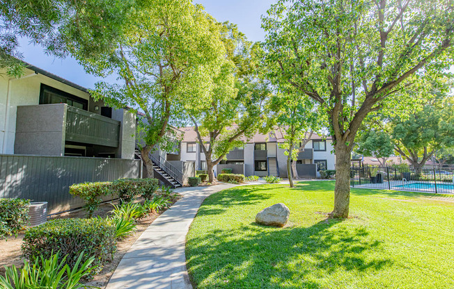 A tree in a yard with a rock in front of it.