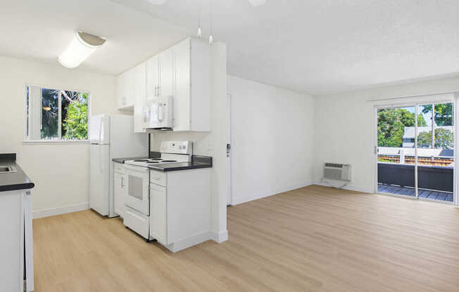 Kitchen and Living Area