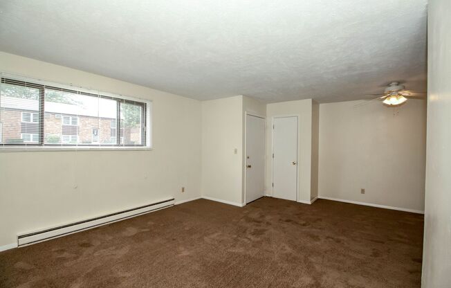 1 bed, 1 bath, $799