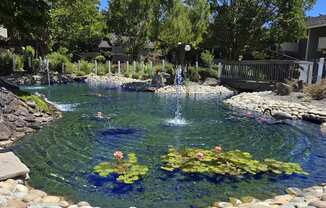 Welcome to Lakeview Apartments!