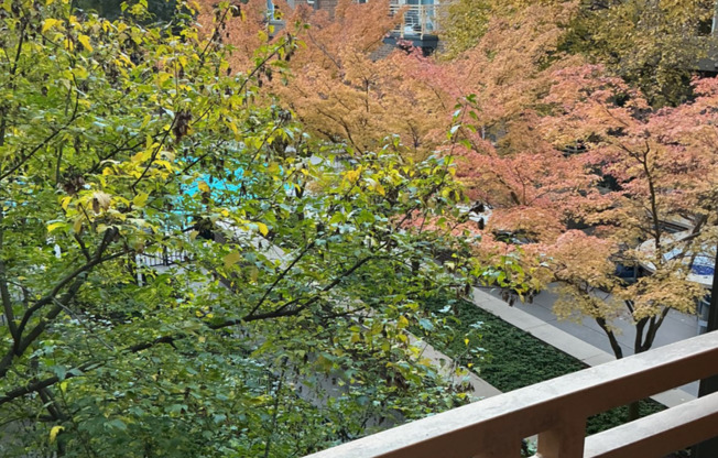 1 bed, 1 bath, $4,440, Unit 214