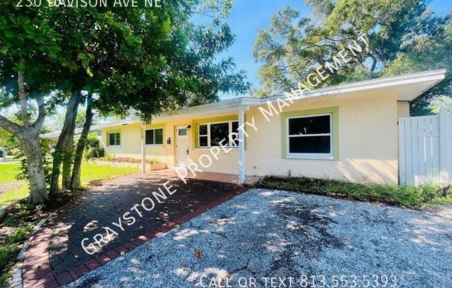 230 DAVISON AVE NE