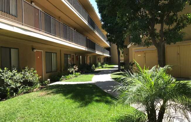 Woodman Lassen Apartments exterior lawn and pathway