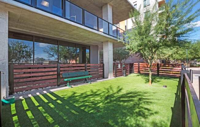 Dog Park North Scottsdale