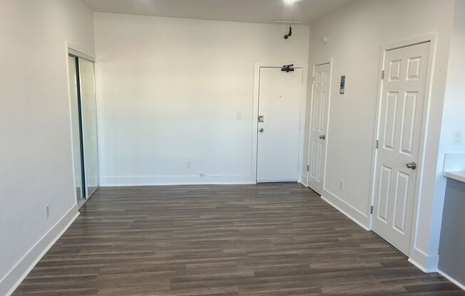 Studio, 1 bath, 400 sqft, $1,495, Unit 0310