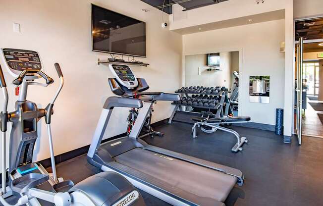 A gym with treadmills, elliptical machines and dumbbells.