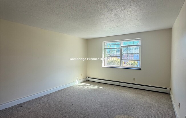 1 Brattle Dr.