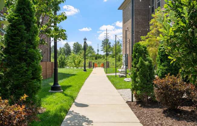 Walkway between Synergy Apartment Homes