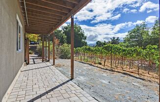 Gorgeous ADU Apartment | Washer/Dryer | Private Entrance