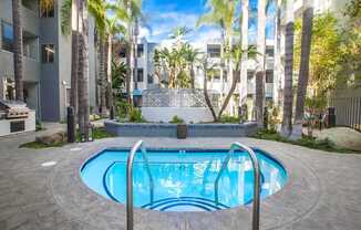 A swimming pool surrounded by palm trees and a stone wall.