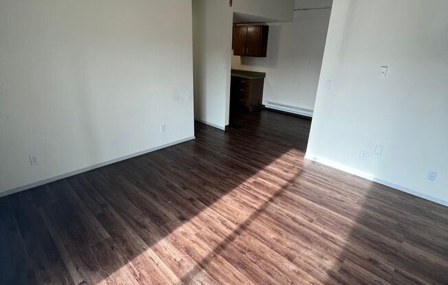 1 bed, 1 bath, $995, Unit 1