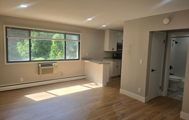 1 bed, 1 bath, $1,250, Unit 316