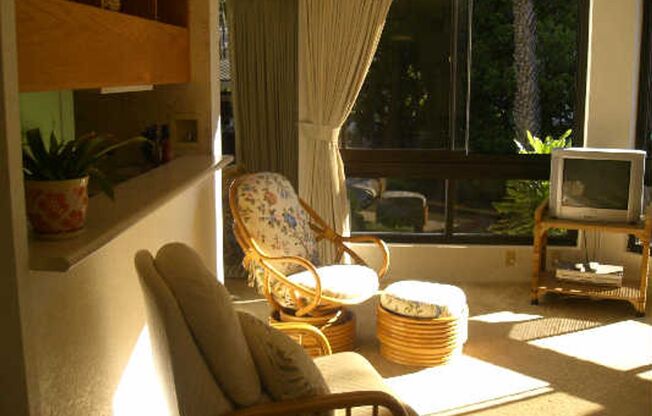 Fabulous Unit in Waikiki!