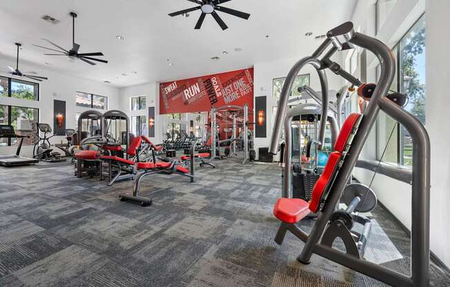 A gym with a variety of equipment including treadmills, weights, and a rowing machine.