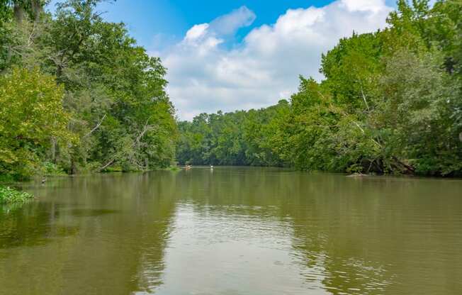 the river with trees on both sides and a blue sky with white clouds at Residence at Riverwatch, Georgia