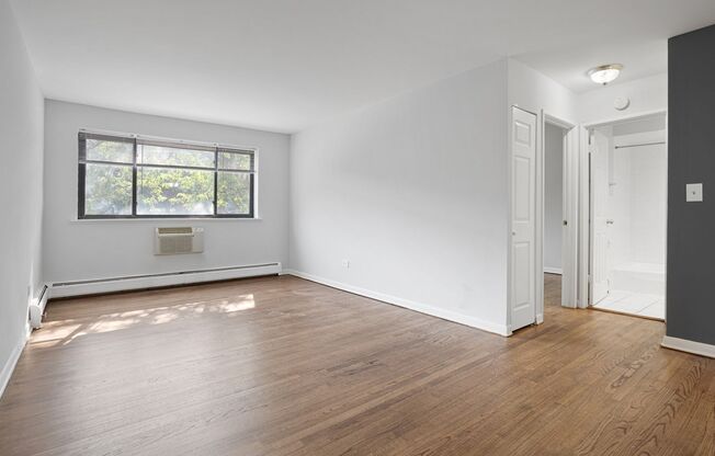 1 bed, 1 bath, 536 sqft, $1,750, Unit 331