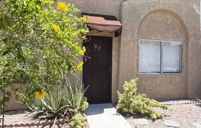 5111 Pioneer #103