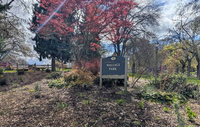 Studio, 1 bath, 308 sqft, $1,149, Unit 23