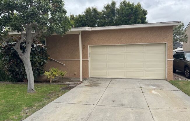 Newly Renovated 4 Bedroom 2 Bath home, with A/C and washer/dryer hook-ups