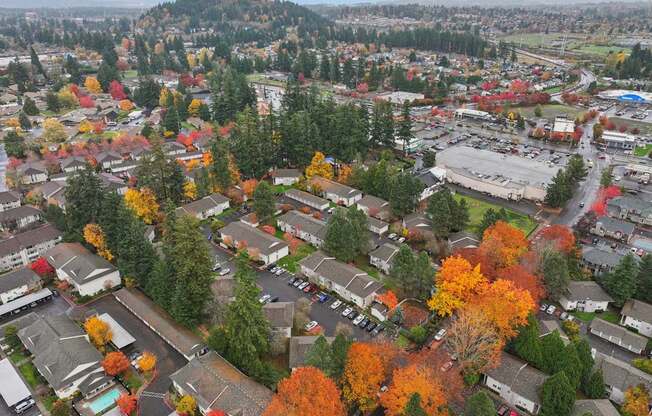 A small town with a lot of trees with autumn leaves.