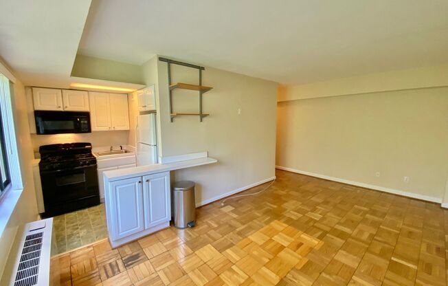 Wilshire Park Condo Studio with Den with Park views in Cleveland Park!