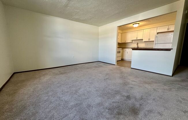 1 bed, 1 bath, $995, Unit 24