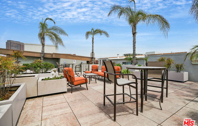 1 bed, 1 bath, 735 sqft, $2,500, Unit 308