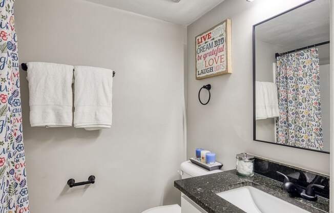 a bathroom with a sink and a mirror and a toilet  at Bayville Apartments, Virginia Beach, VA