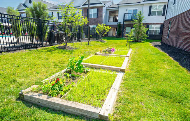 A backyard with a fence and a vegetable garden.