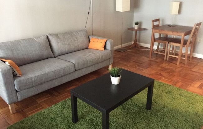 Furnished Studio Apt. in Dupont Circle. All Utilities Included...Available March 1s!
