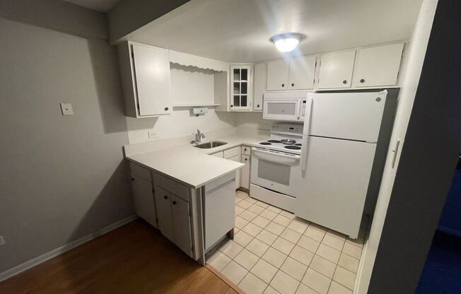 1 bed, 1 bath, 700 sqft, $1,250, Unit 101