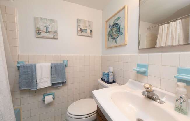 Bathroom - Classic