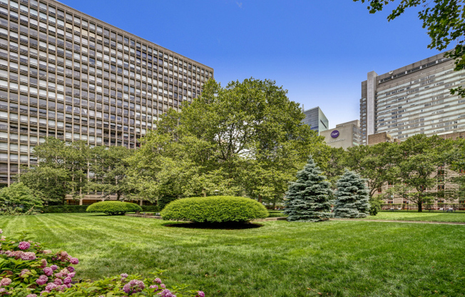 1 bed, 1 bath, $3,850, Unit 4D